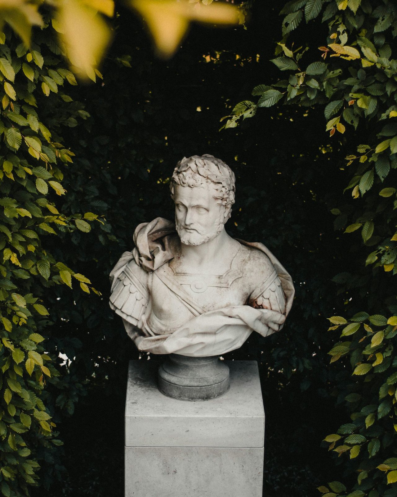 Philosophy is in Everything