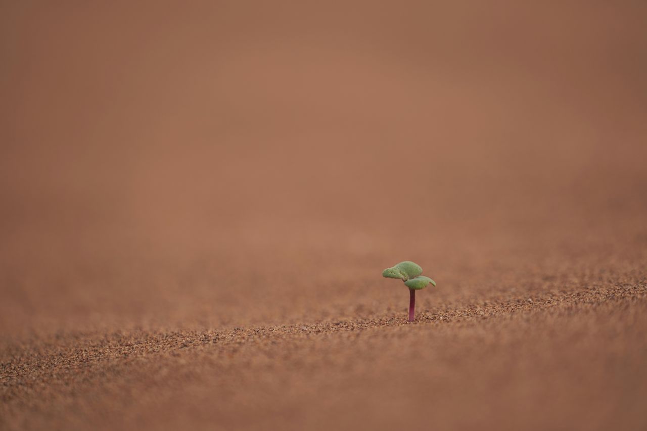 Work on little things.