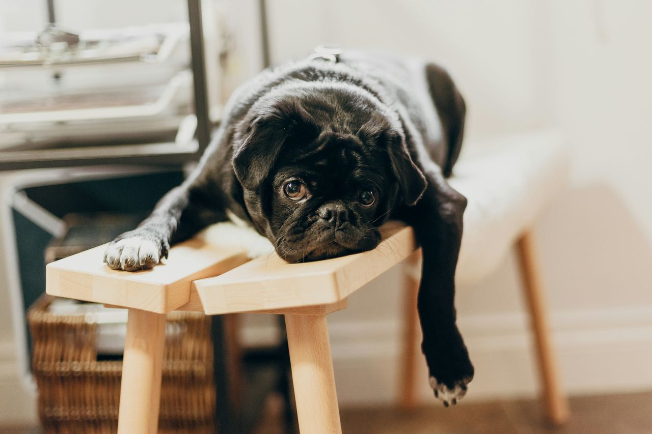 When and why do you feel lazy?