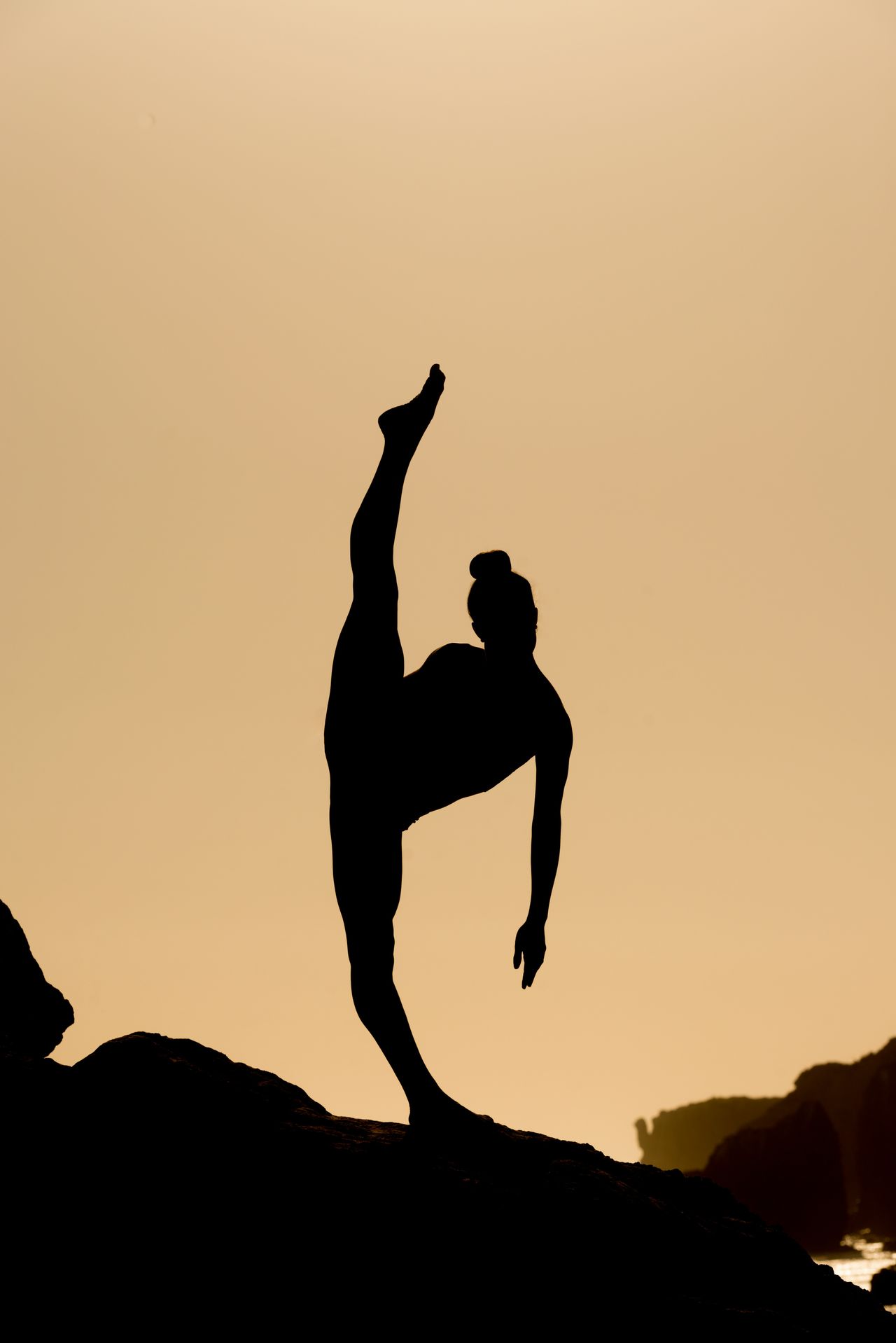 The flexibility of the Will
