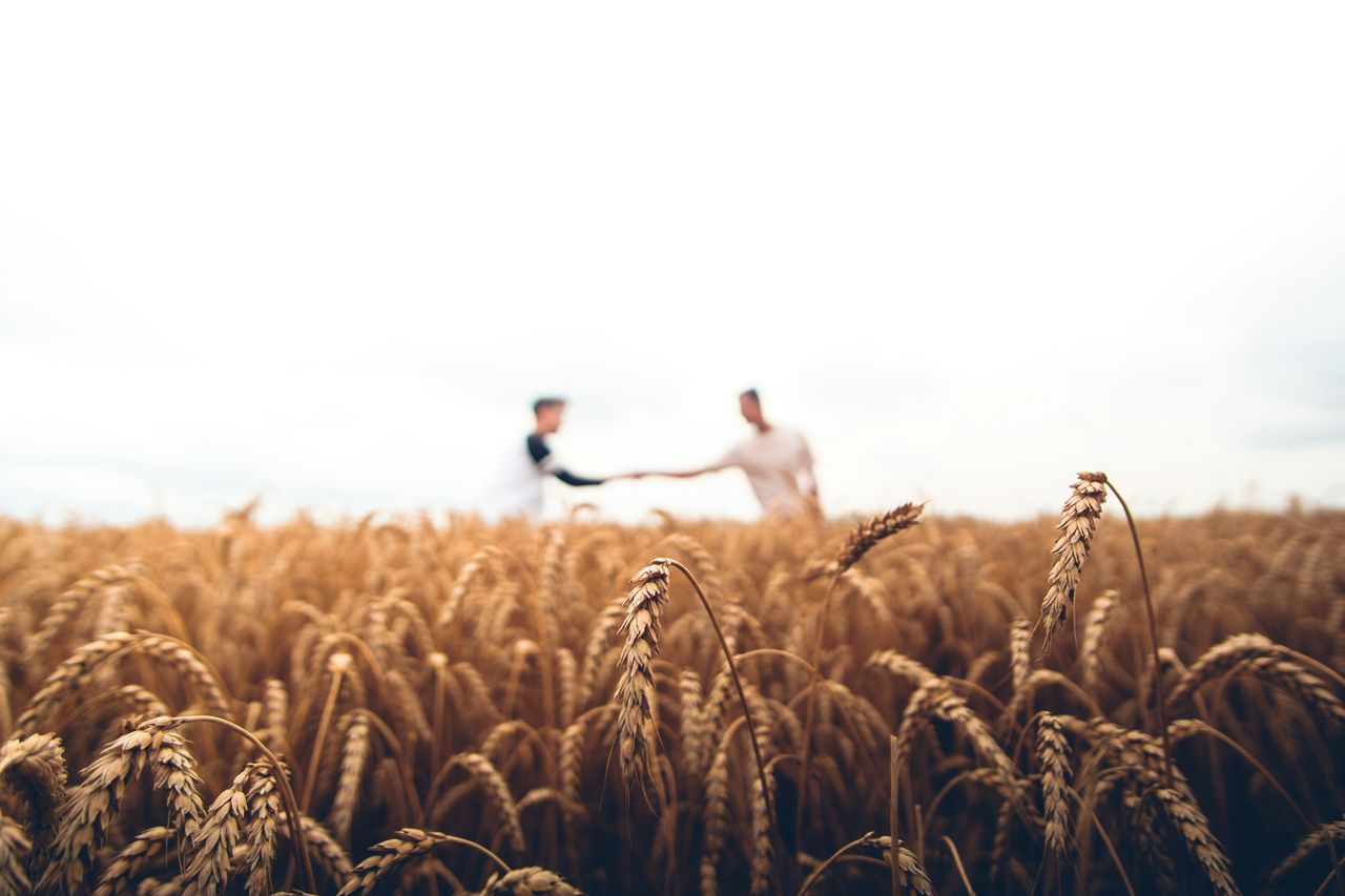 We reap what we sow