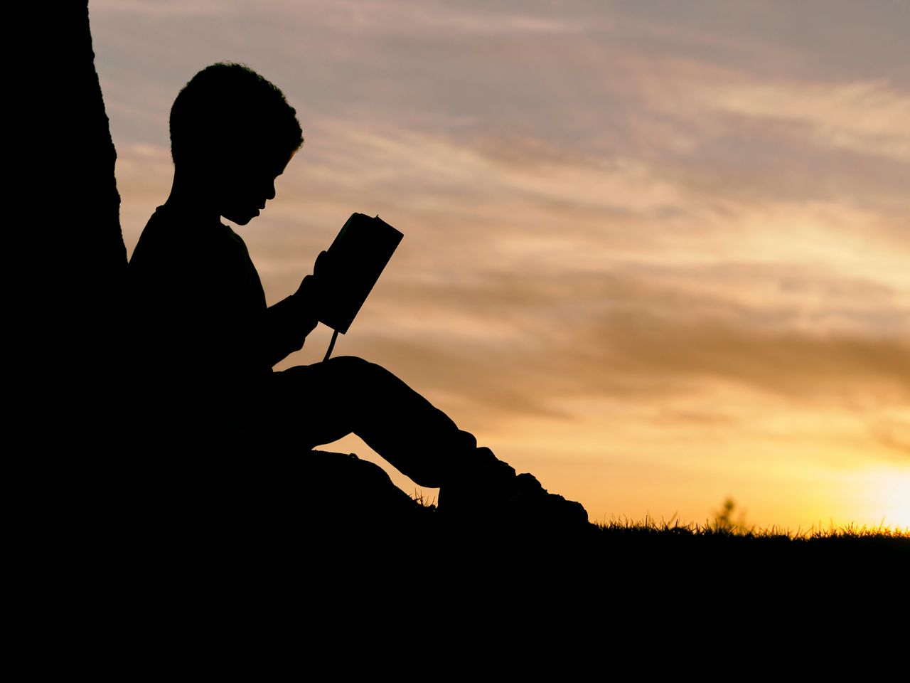 Freedom through Education