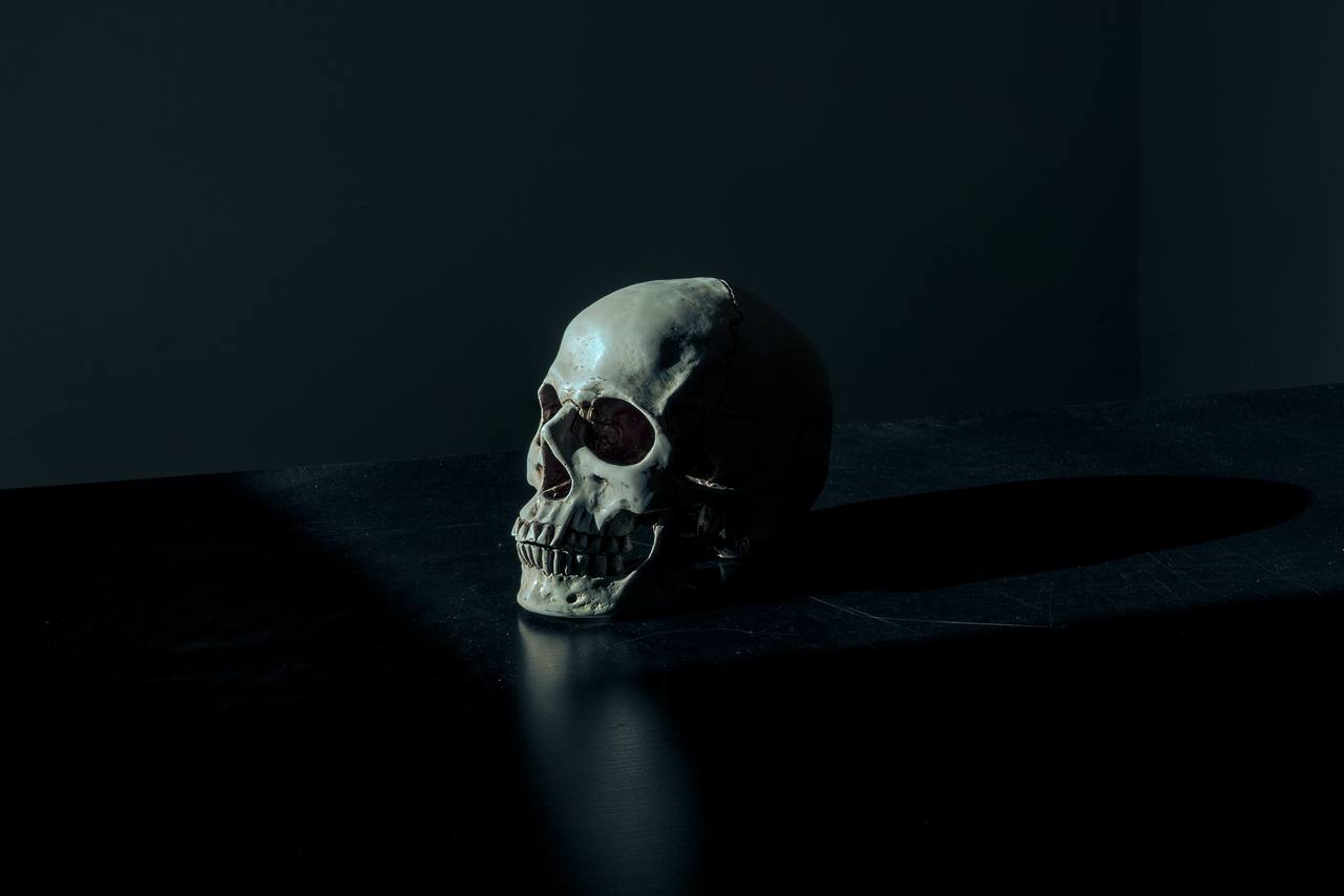 A weathered human skull resting in soft light